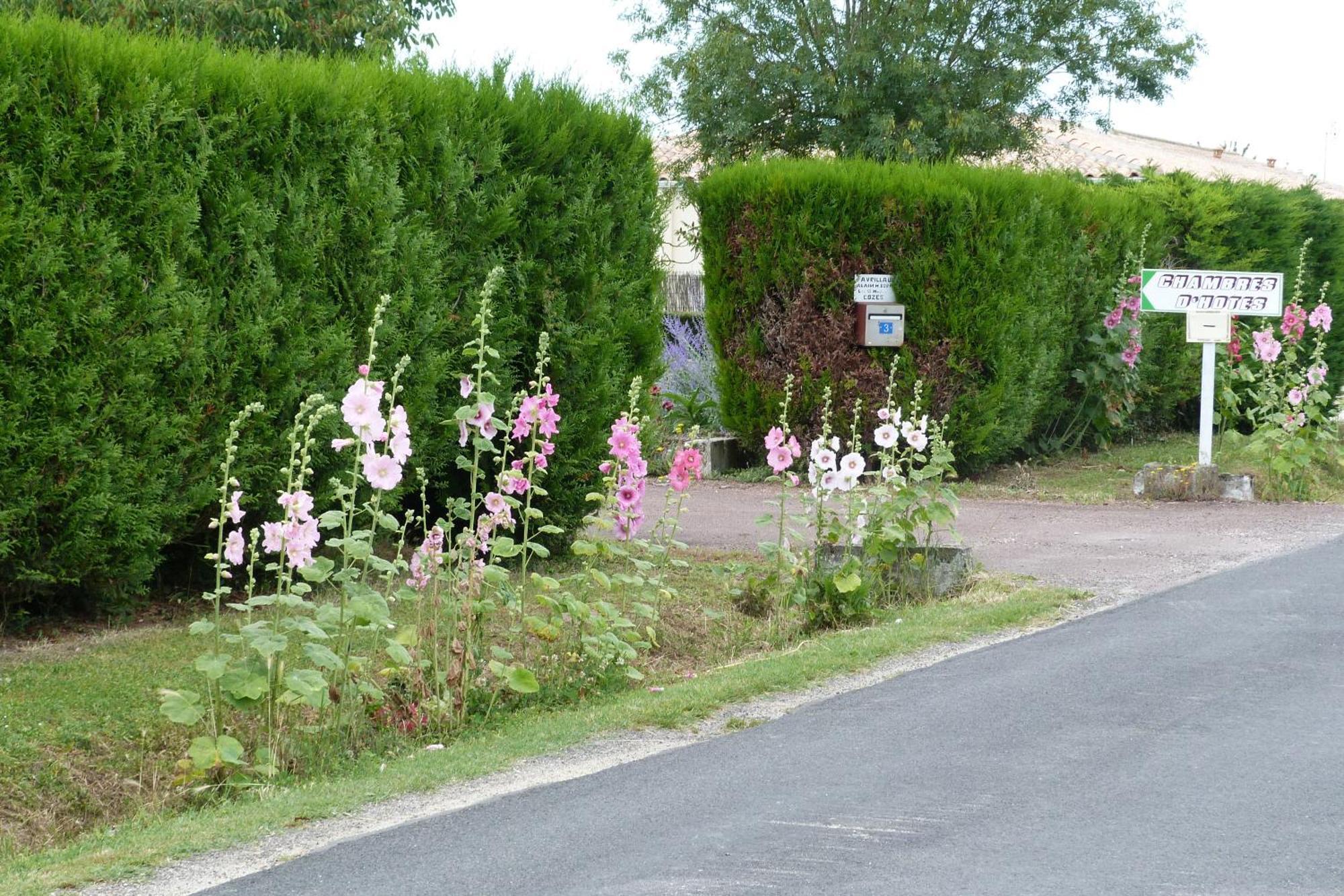 Chambre d'Hôtes Les 3 Moulins Cozes Exterior foto